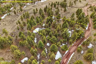 20 County Road N 1332 --, Greer, AZ 85927 - Photo 1