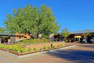 17674 E Fort Verde Rd, Rio Verde, AZ 85263 - Photo 50