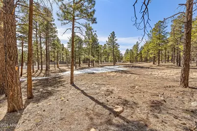 5055 Townsend Winona Road #3, Flagstaff, AZ 86004 - Photo 10