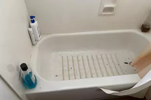 407 E Honda Bow Rd, Phoenix, AZ 85086 - Photo 48