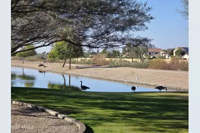 7576 W Quail Avenue, Glendale, AZ 85308 - Photo 70