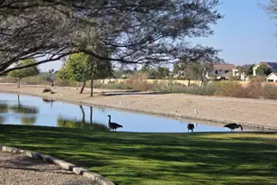 7576 W Quail Ave, Glendale, AZ 85308 - Photo 70