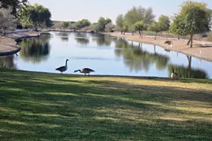 7576 W Quail Ave, Glendale, AZ 85308 - Photo 2