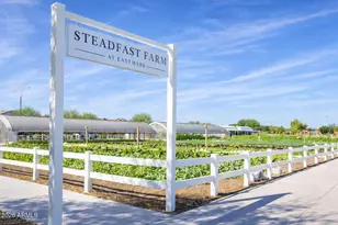 4162 S Zephyr, Mesa, AZ 85212 - Photo 78