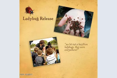 12731 W Eagle Ridge Lane, Peoria, AZ 85383 - Photo 74