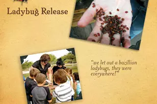 12731 W Eagle Ridge Ln, Peoria, AZ 85383 - Photo 74