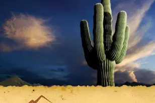 12731 W Eagle Ridge Ln, Peoria, AZ 85383 - Photo 82