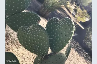 39402 N Spur Cross Road, Cave Creek, AZ 85331 - Photo 28