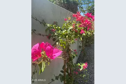 3956 S Hollyhock Place, Chandler, AZ 85248 - Photo 26