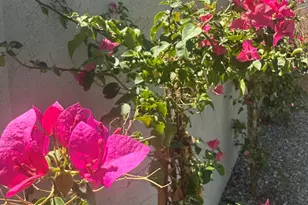 3956 S Hollyhock Pl, Chandler, AZ 85248 - Photo 26