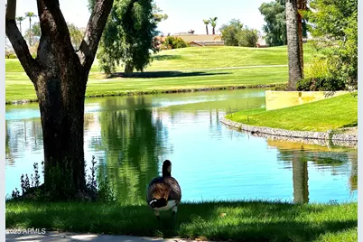 3956 S Hollyhock Place, Chandler, AZ 85248 - Photo 44