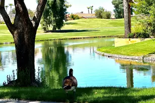 3956 S Hollyhock Pl, Chandler, AZ 85248 - Photo 44