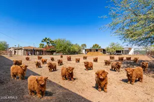 12423 N 64th St, Scottsdale, AZ 85254 - Photo 6