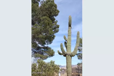 28401 S Rain Valley Road, Elgin, AZ 85611 - Photo 36