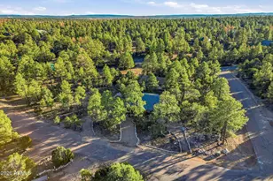 2225 Roundabout Way, Overgaard, AZ 85933 - Photo 24