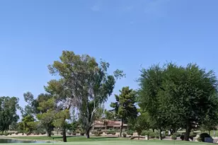 [Address not provided], Sun Lakes, AZ 85248 - Photo 40