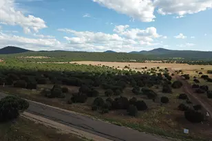 3 N3556, Vernon, AZ 85940 - Photo 18