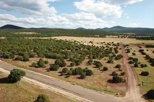 3 N3556, Vernon, AZ 85940 - Photo 2