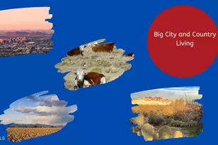 19221 N Sombrero Circle, Sun City, AZ 85373 - Photo 4