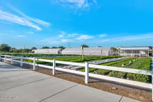 9645 E Theia Dr, Mesa, AZ 85212 - Photo 52