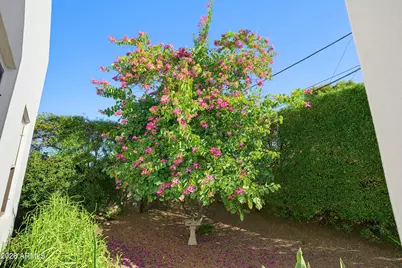 4445 N 29th Place, Phoenix, AZ 85016 - Photo 36