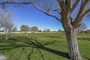 21102 E Pummelos Rd, Queen Creek, AZ 85142 - Photo 74