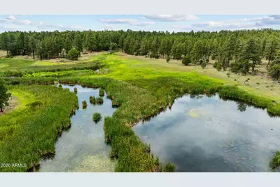 1261 W Big Springs Trail, Lakeside, AZ 85929 - Photo 4