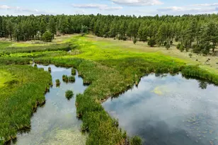 1261 W Big Springs Trail, Lakeside, AZ 85929 - Photo 4