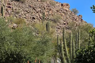 2233 E Behrend Dr, Phoenix, AZ 85024 - Photo 10