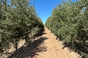 854 W Lowell Dr., San Tan Valley, AZ 85140 - Photo 30