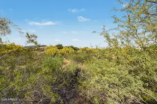 7707 E Primrose Path, Carefree, AZ 85377 - Photo 44