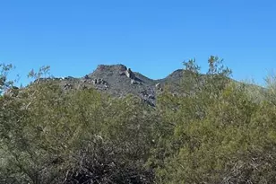 7707 E Primrose Path, Carefree, AZ 85377 - Photo 24