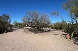 7707 E Primrose Path, Carefree, AZ 85377 - Photo 32