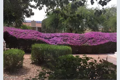 3090 N 157th Drive, Goodyear, AZ 85395 - Photo 20