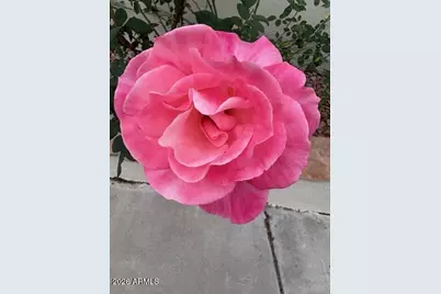 155 N Brookside Street, Chandler, AZ 85225 - Photo 42