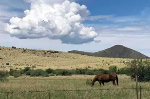 4478 S Bamboo Cir, Hereford, AZ 85615 - Photo 36