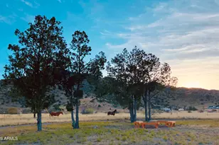 4478 S Bamboo Cir, Hereford, AZ 85615 - Photo 34