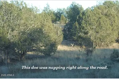 861 W2 Cable Road #-, Williams, AZ 86046 - Photo 16