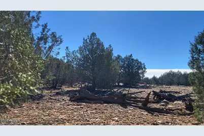 861 W2 Cable Road #-, Williams, AZ 86046 - Photo 8