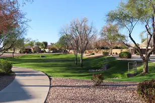 3173 E Bluebird Pl, Chandler, AZ 85286 - Photo 10