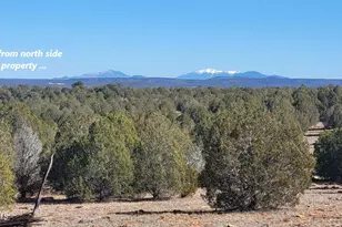 861 E2 Cable Rd, Williams, AZ 86046 - Photo 1