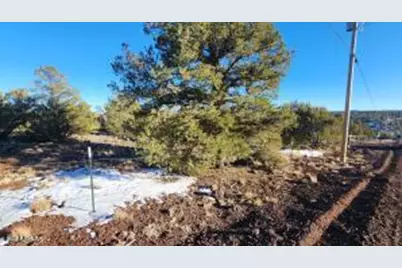 4 County Road 8127 -- #2369, Concho, AZ 85924 - Photo 2