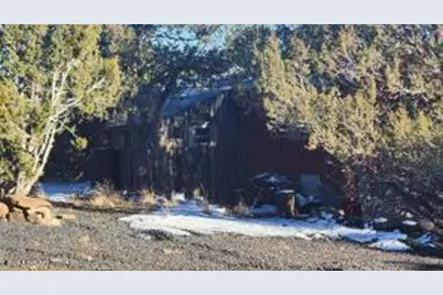 4 County Road 8127 -- #2369, Concho, AZ 85924 - Photo 4