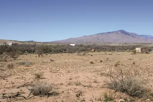 825 N Diana Dr, Benson, AZ 85602 - Photo 64