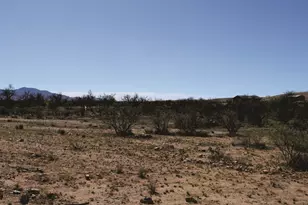 825 N Diana Dr, Benson, AZ 85602 - Photo 36