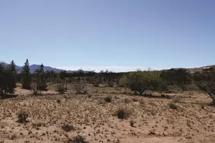 825 N Diana Dr, Benson, AZ 85602 - Photo 34