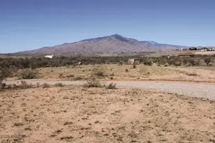 825 N Diana Dr, Benson, AZ 85602 - Photo 62