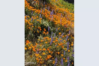 9432 E Quail Trail, Carefree, AZ 85377 - Photo 42