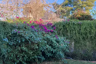 314 E Campo Bello Dr, Phoenix, AZ 85022 - Photo 16