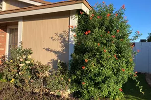 314 E Campo Bello Dr, Phoenix, AZ 85022 - Photo 4